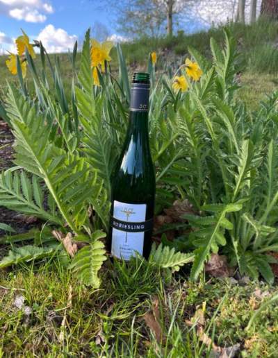 vin med denlert, vintips