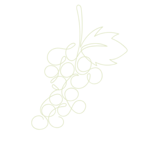 vinprovning